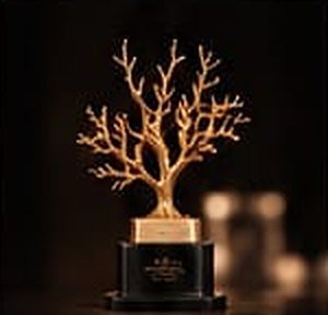 RED SEA
INTERNATIONAL
FILM FESTIVAL